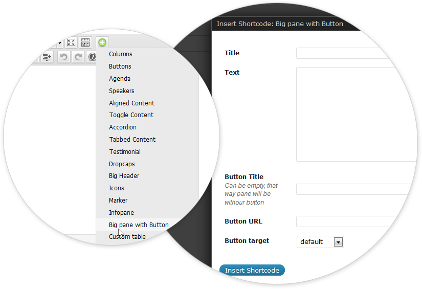 shortcodes-biginfopane